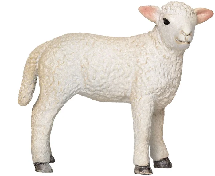 Mojo Farmland Romney Lam Staand – 381065