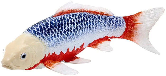 Mojo Sealife Koi Karper – Asagi Koi – 381100