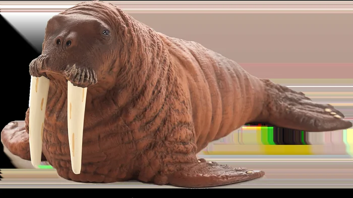 Mojo Sealife Spielzeug Walross – 387209