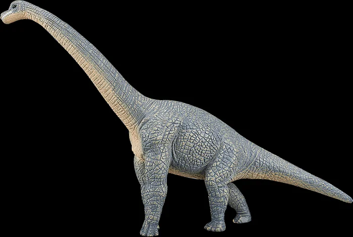 Mojo Spielzeug Dinosaurier Brachiosaurus grau – 387044