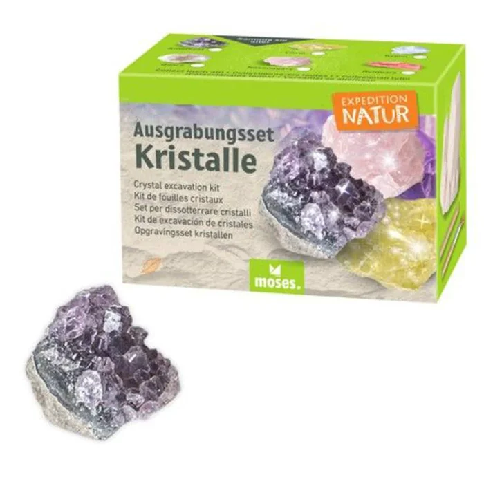 Moses Expedition Natur Ausgrabungsset Kristall