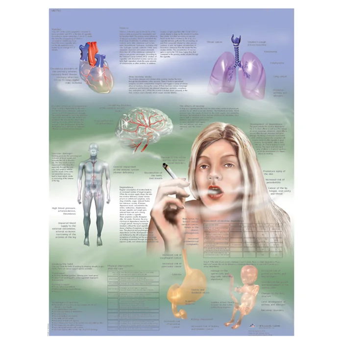 Nikotinabhängigkeit – Poster laminiert | W-21096L