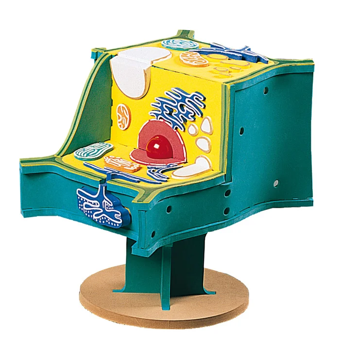 Pflanzliche Zelle | W-22408