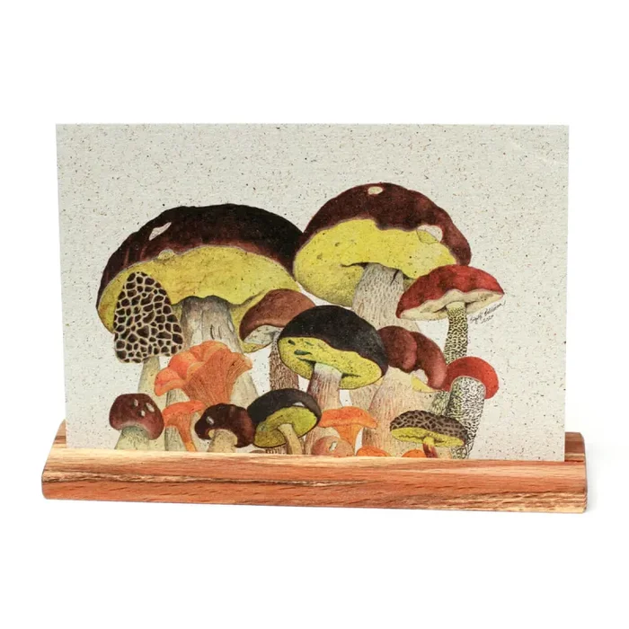 Pilzkomitee – Graspapier