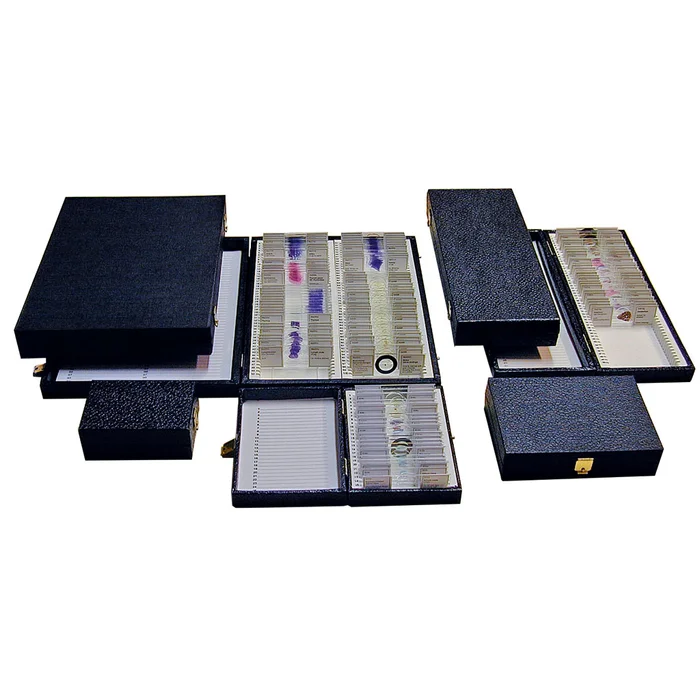 Präparatekasten für 12 Objektträger bei Wiemann-Lehrmittel bestellen