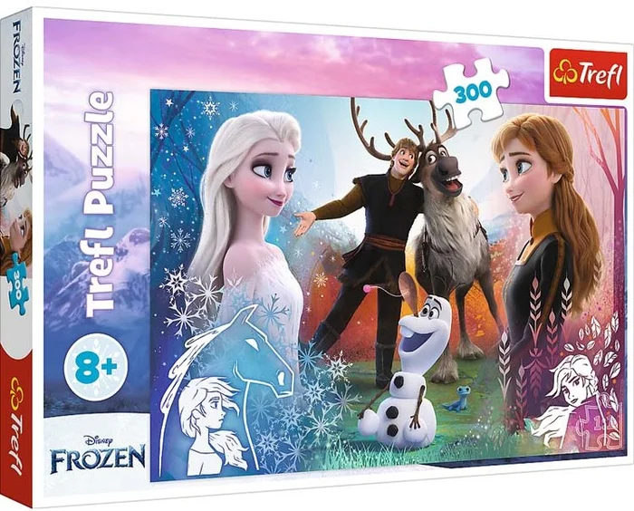 Pz.Disney Frozen 300T
