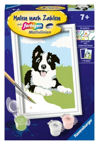 Ravensburger® Malen nach Zahlen – Border Collie Welpe