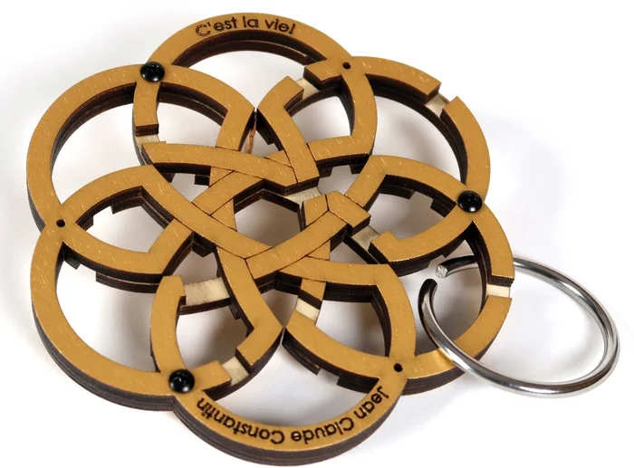 Recent Toys C’est la Vie – Constantin Brainpuzzel