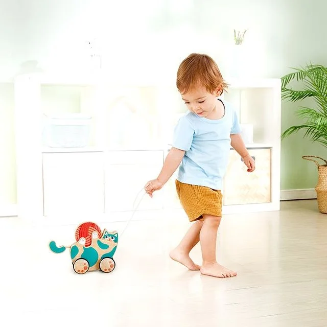 Roll & Rattle Kitten