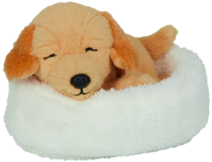 Schlafender Hund Isi im Korb – Lustige Tierparade