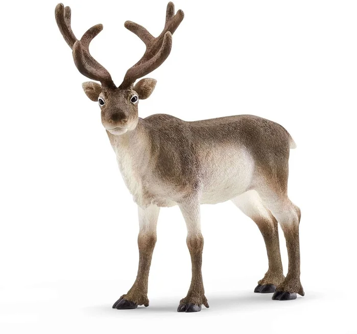 SCHLEICH 14837 Rentier Wild Life