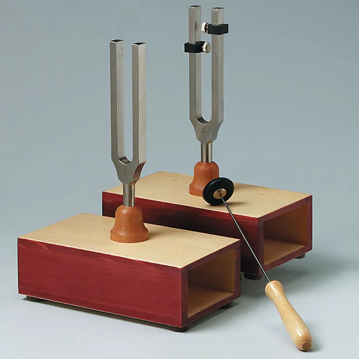 Stimmgabeln auf Resonanzkasten | W-70541