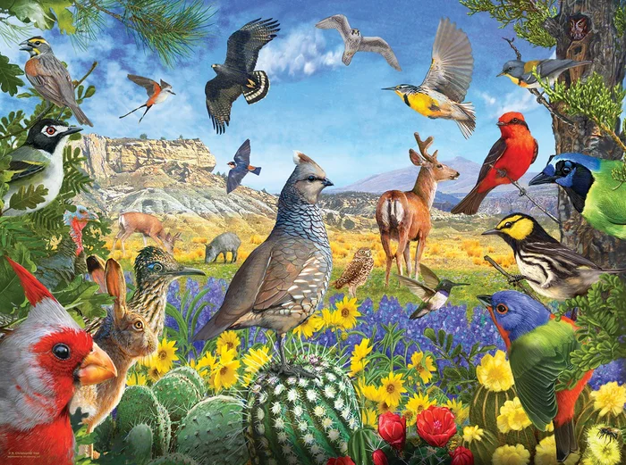 SunsOut R. Christopher Vest – Texas Birds – 1000 Teile