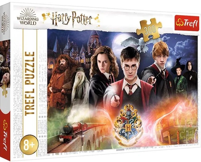 Trefl Trefl 300 – The Secret Harry Potter / Warner Harry Potter