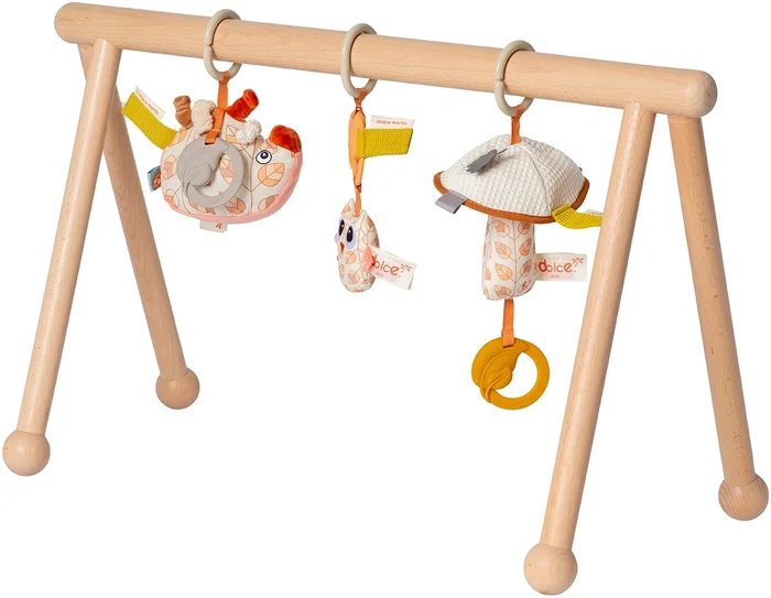 Van Dijk Toys & Dolce Holz Babygym Earth (Kinderbetreuungsqualitt)