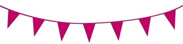 Vlaggenlijn 10 meter hardrose