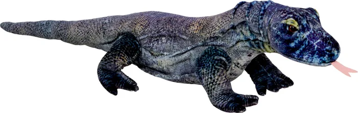 Waran – Nature Zoom Wild