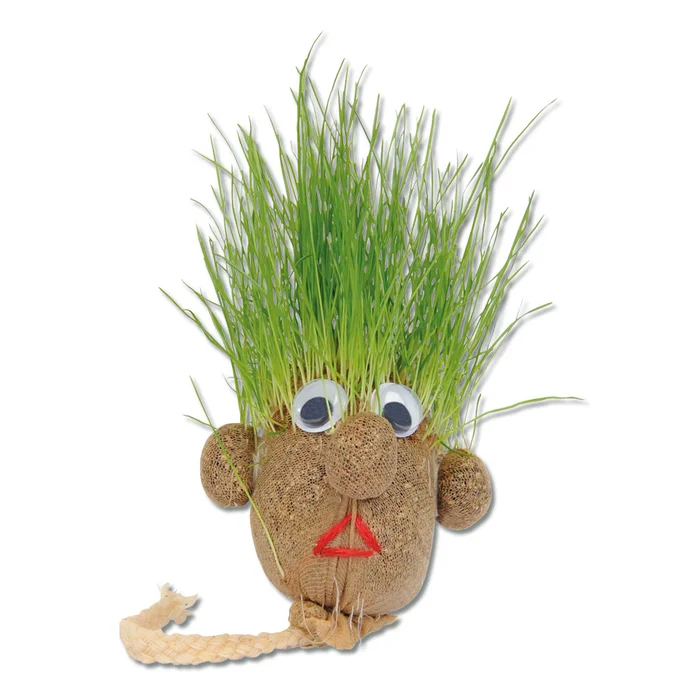 Was sprießt denn da – Graskopf im Onlineshop bestellen