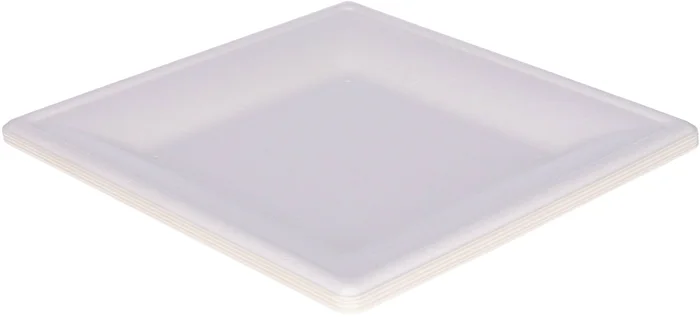 Wegwerpbordjes Vierkant 20cm, 8st.