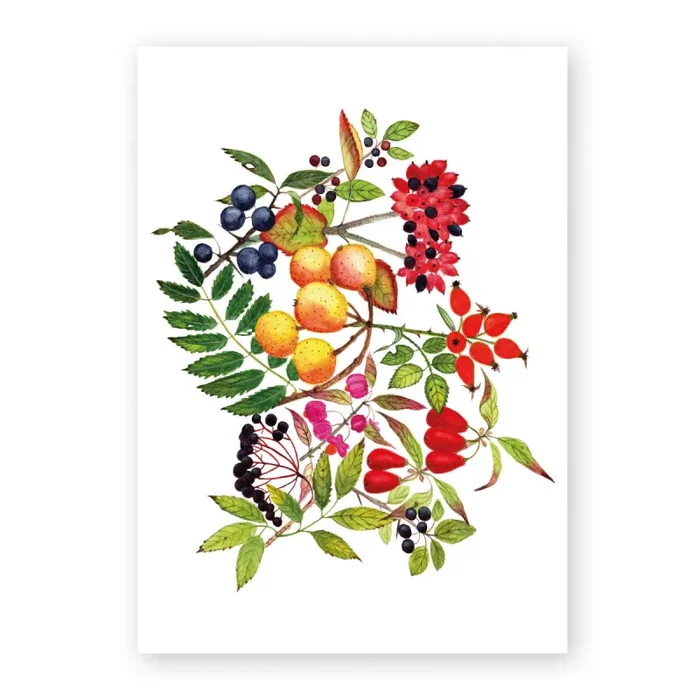 Wildobst Online-Verkauf