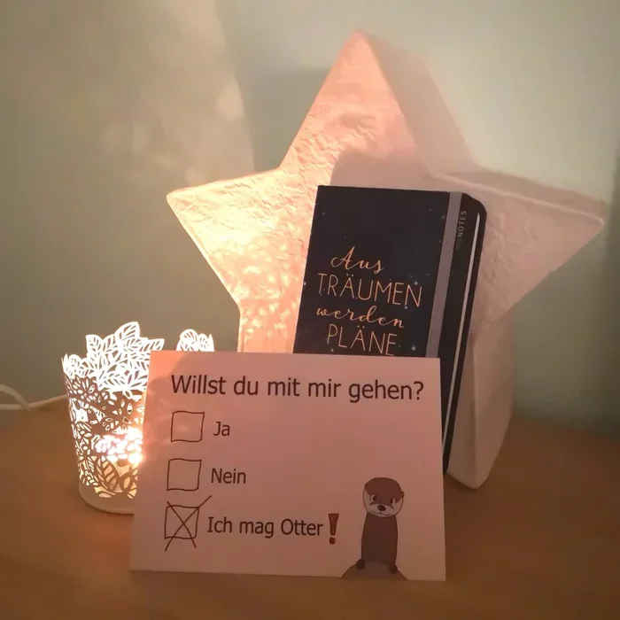 Willst du mit mir gehen? – Ich mag Otter Postkarte