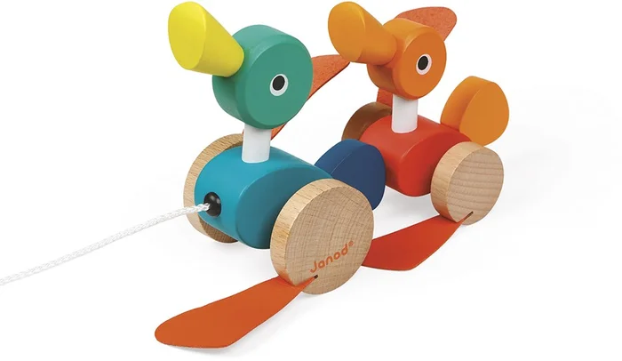 Zigolos Enten zum Spazierengehen