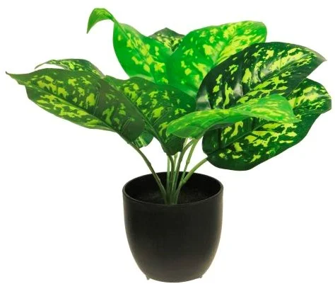 Zijde Dieffenbachia sunshine groen 28cm